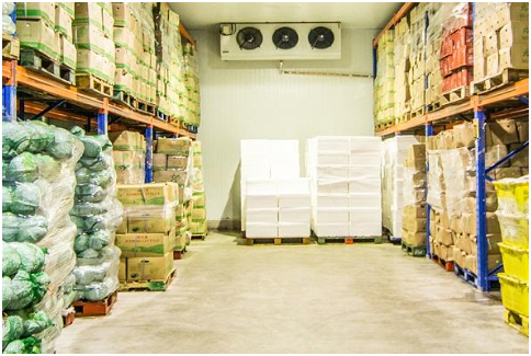 Ứng dụng pallet nhựa tại An Giang trong ngành nông sản – Giải pháp kê xoài an toàn, tiết kiệm