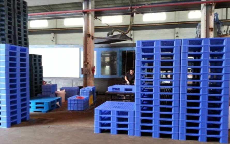 Mua Pallet Nhựa Tại Cao Lãnh – Đồng Tháp Ở Đâu Uy Tín, Giao Nhanh Tận Nơi?