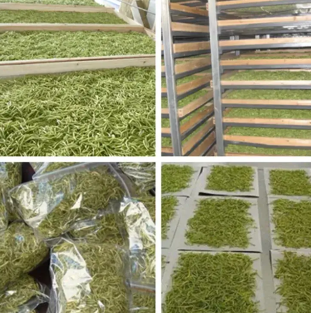Chia sẻ về việc sấy dược liệu & giải pháp khay nhựa sấy an toàn