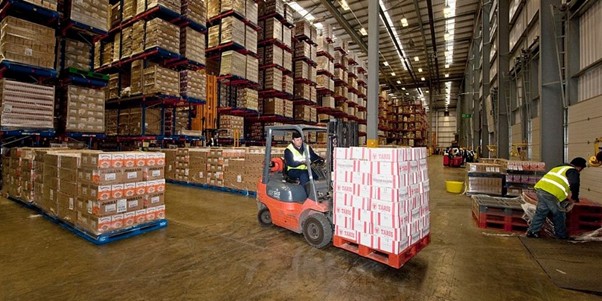 Cách lựa chọn kích thước pallet nhựa phù hợp với xe nâng và diện tích kho