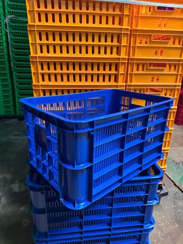 Sọt hở 3T1 là gì? Ứng dụng thực tế trong siêu thị, nông sản và kho vận