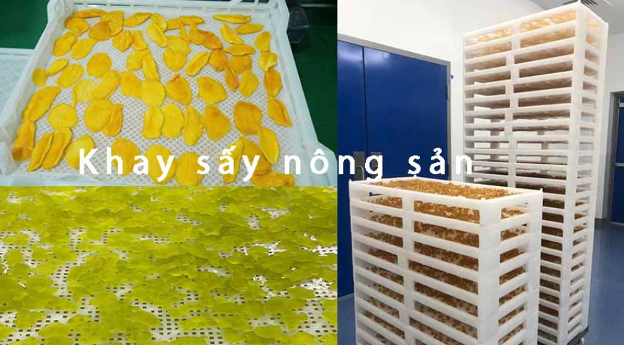 VỈ (KHAY) SẤY CÔNG NGHIỆP – ỨNG DỤNG ĐA DẠNG TRONG NÔNG SẢN & DƯỢC LIỆU