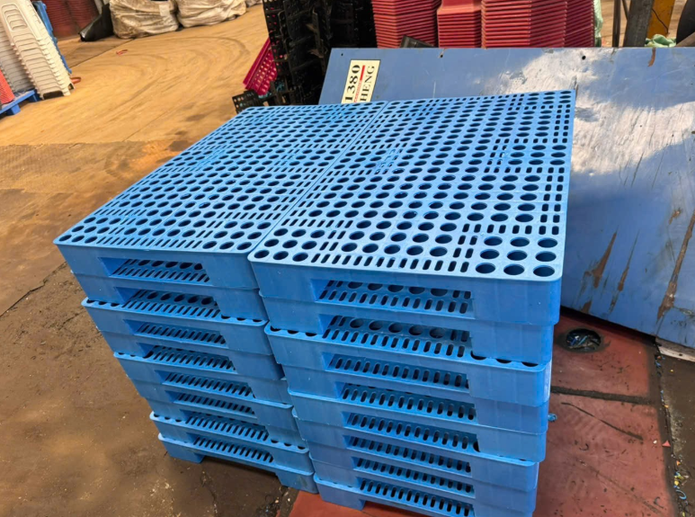 Pallet nhựa cho ngành thực phẩm có cần tiêu chuẩn gì?