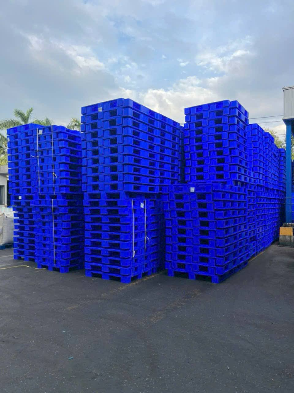 Pallet nhựa và pallet gỗ loại nào tốt hơn? Ưu nhược điểm từng loại