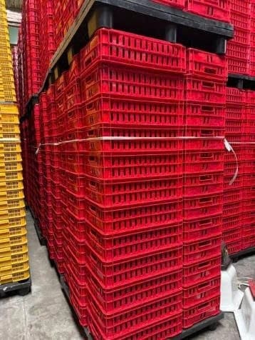 Sóng Nhựa Nào Xếp Chồng Tốt? Tiêu Chí Chọn Sóng Nhựa Bền Và Chắc