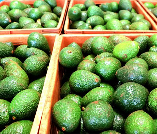 Sọt nhựa đựng bơ thu hoạch loại nào bền?