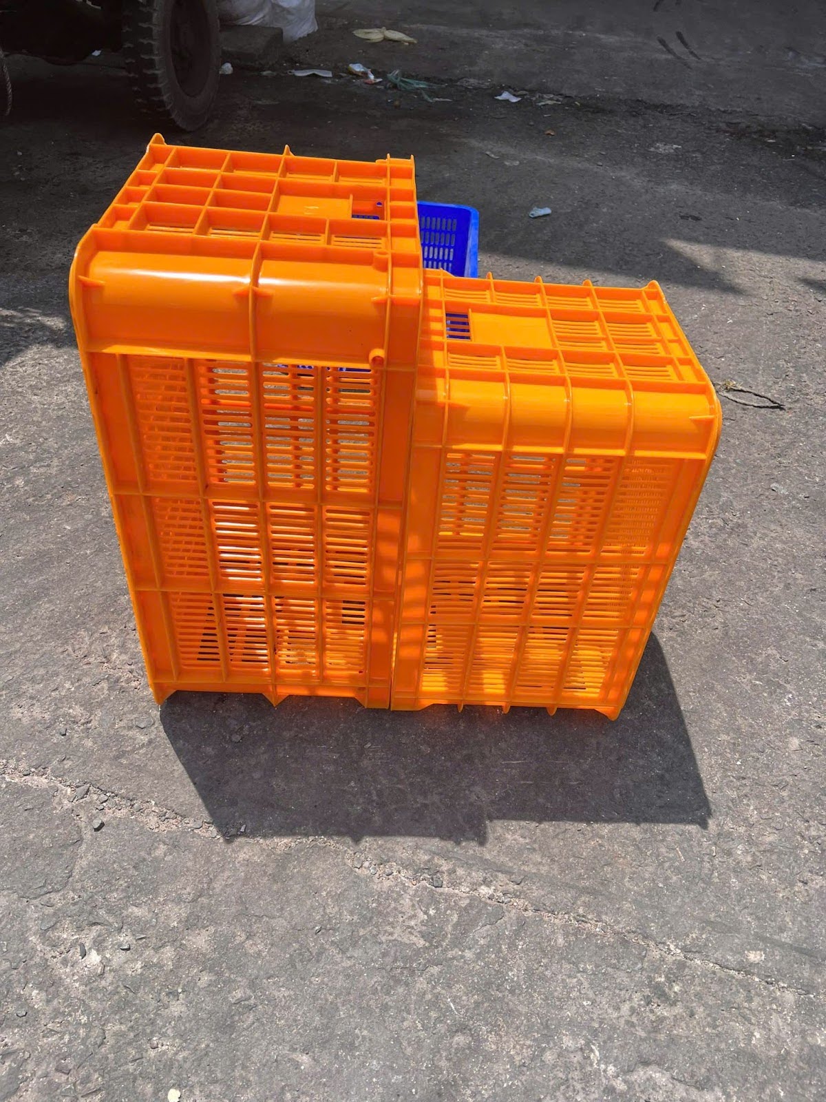 Sọt nhựa đựng cá cơm – Lựa chọn phù hợp cho ngành thủy sản ven biển
