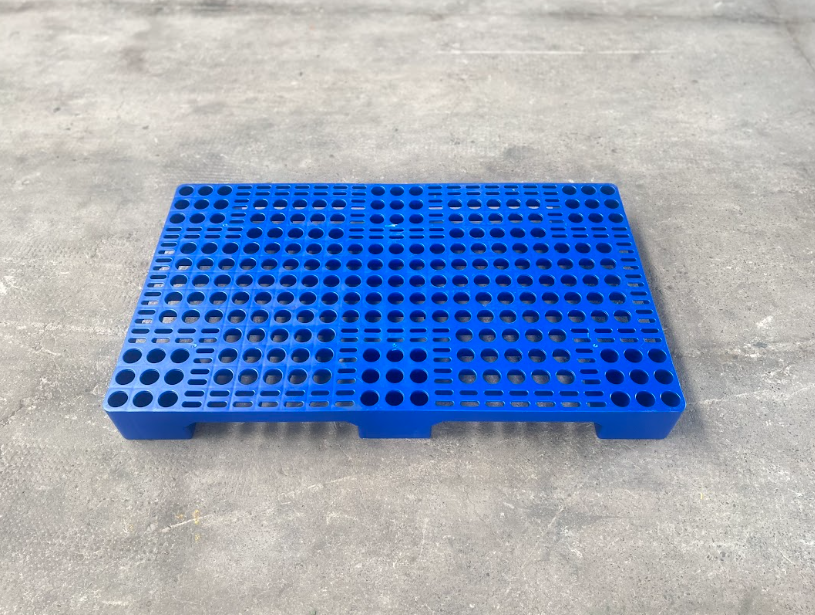 Ứng dụng pallet nhựa trong ngành thủy sản: Lưu trữ & vận chuyển hiệu quả, vệ sinh